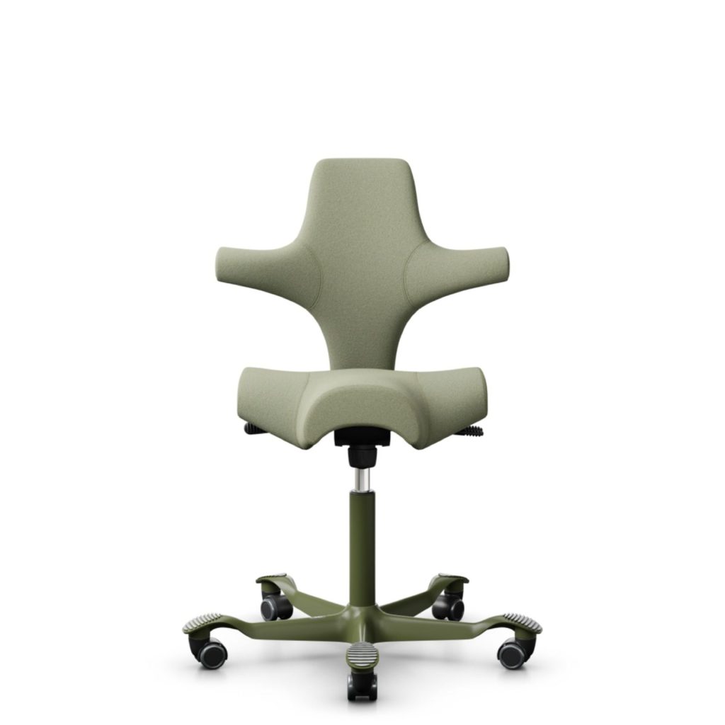 Fauteuil HÅG Capisco | Flokk